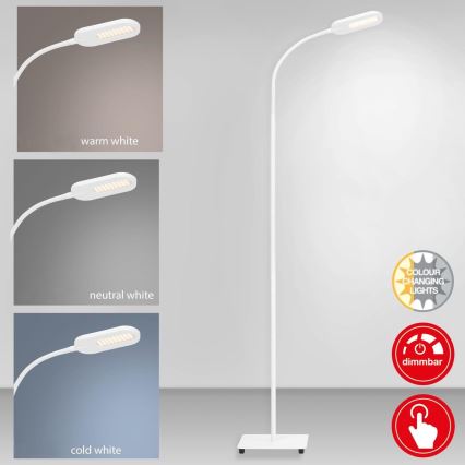 Briloner 1297-016 - Dimmbare LED-Stehleuchte mit Touch-Funktion LED/8W/230V 3000/4000/6000K