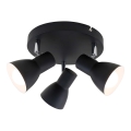 Briloner 2860-035 - Spotleuchte CUP 3xE14/25W/230V schwarz