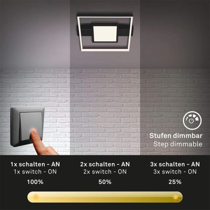 Briloner 3028-015 - Dimmbare LED-Deckenleuchte FRAME LED/38W/230V