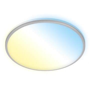 Briloner 3064-014 - Dimmbare LED-Deckenleuchte IVY LED/24W/230V Wi-Fi Tuya Ø 33,3 cm + Fernbedienung