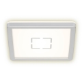 Briloner 3174-014 - LED-Deckenleuchte FREE LED/12W/230V 19x19 cm