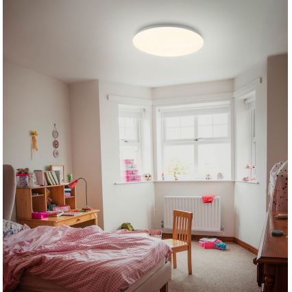 Briloner 3380-116 - LED dimmbare Deckenleuchte STARRY SKY LED/18W/230V 2700/4000K