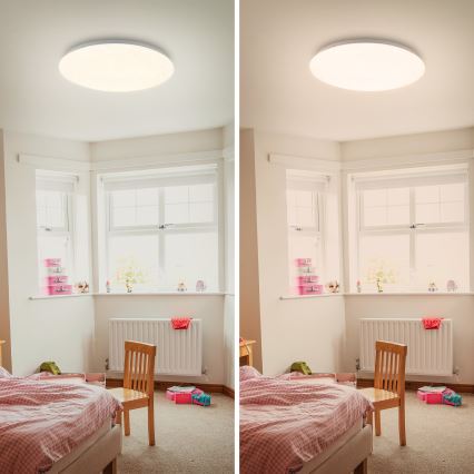 Briloner 3380-116 - LED dimmbare Deckenleuchte STARRY SKY LED/18W/230V 2700/4000K