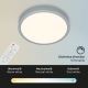 Briloner 3701-014 - Dimmbare LED-Deckenleuchte RUNA LED/18W/230V 2700-6500K silbern + Fernbedienung