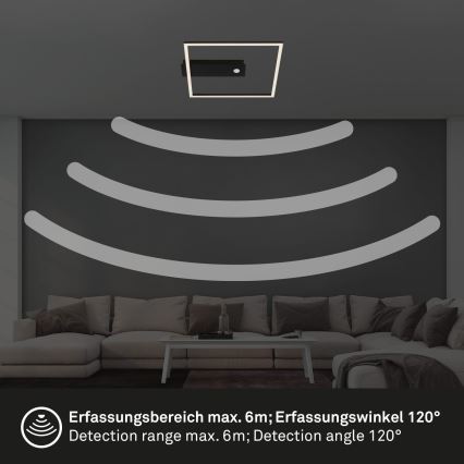 Briloner 3770-015 - LED-Deckenleuchte mit Bewegungs- und Dämmerungssensor FRAME LED/14W/230V 3000K 30x32 cm schwarz