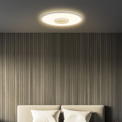 Briloner 3847014 - LED-Deckenleuchte TORO LED/18W/230V Ø 42 cm mattchrom