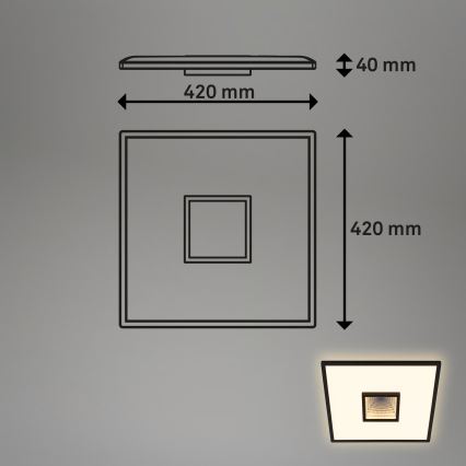 Briloner 3848015 - LED-Deckenleuchte TORO LED/18W/230V 42 x 42 cm schwarz