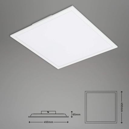 Briloner 7087-016 - Dimmbare LED-RGBW-Leuchte SMART LED/24W/230V 3000-6500K Wi-Fi Tuya + Fernbedienung