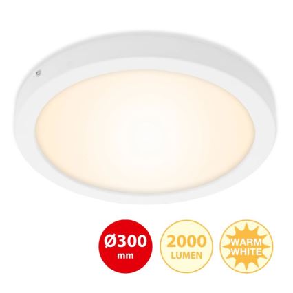 Briloner 7141-016 - LED-Deckenleuchte FIRE LED/21W/230V