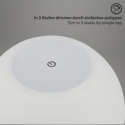 Briloner 7439-014 - Dimmbare aufladbare LED-Außenleuchte LED/3W/5V IP44