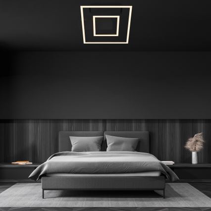 Briloner - LED Deckenleuchte FRAME LED/22W/230V 3000K 30x32 cm schwarz