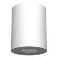Brosline - Badezimmer-Spotleuchte 1xGU10/10W/230V IP44 weiß