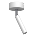 Brosline - Spotleuchte 1xG9/2,5W/230V weiß