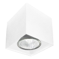 Brosline - Spotleuchte 1xGU10/10W/230V weiß