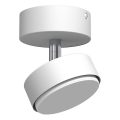 Brosline - Spotleuchte 1xGX53/9W/230V weiß