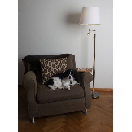 ByRydens - LED-Stehleuchte ORLANDO 1xE27/5W/230V + LED/3W weiß/bronzen d 36 cm