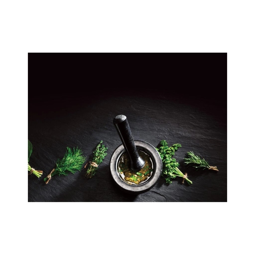 Cole&Mason - Granitmörser mit Stößel GRANITE d 14 cm Granit/schwarz