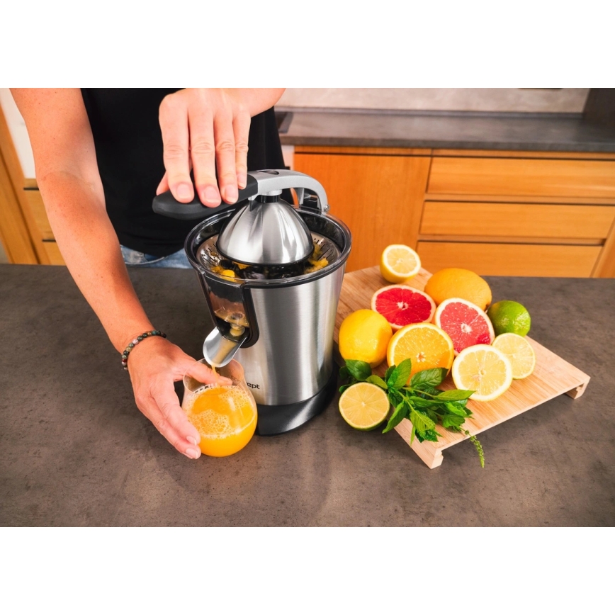 Concept CE3520 - Hebelpresse für Zitrusfrüchte, 0,75 l, 160W/230V, Edelstahl