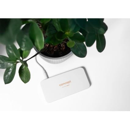 Concept KZ2010 - LED-Taschen-Kosmetikspiegel PERFECT SKIN LED/1,5 W/5 V 4500–5500 K 300 mAh weiß