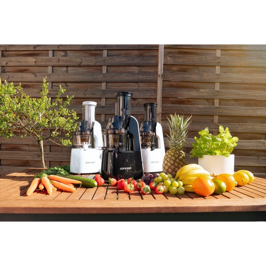 Concept LO7067 - Schneckenentsafter 3-in-1 240W/230V schwarz