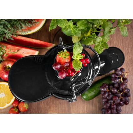 Concept LO7095 - Zentrifugal-Entsafter 1000W/230V schwarz/Edelstahl