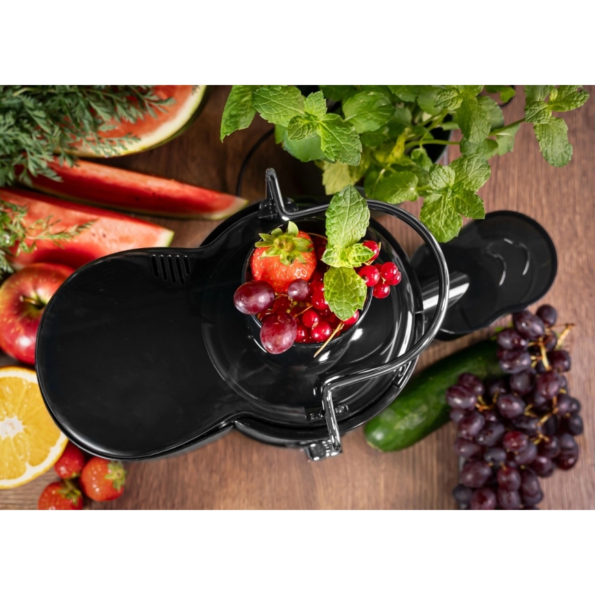 Concept LO7095 - Zentrifugal-Entsafter 1000W/230V schwarz/Edelstahl