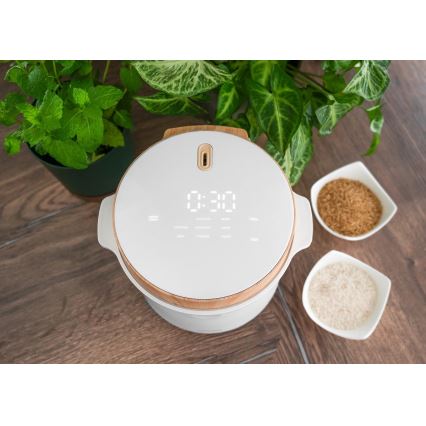 Concept RE3030 - Digitaler Reiskocher 2-in-1 380W/230V 1,5 l weiß/Holzdekor