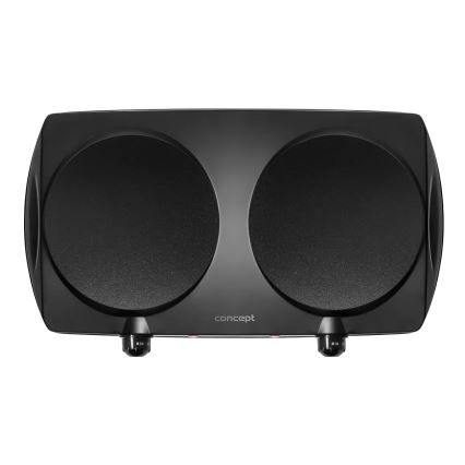 Concept VE3060 - Doppelkochplatte 2500W/230V schwarz