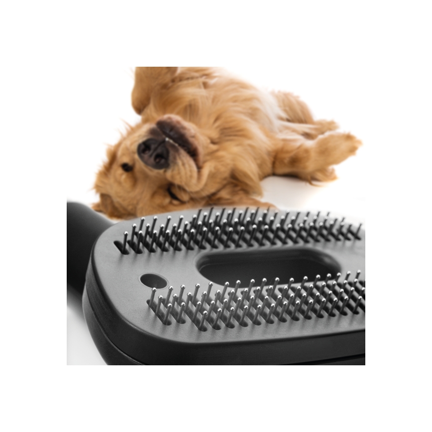 Concept VP5240N - Staubsauger ohne Beutel 4A RADICAL PET EXPERT 2,5 l 800W/230V bronzen