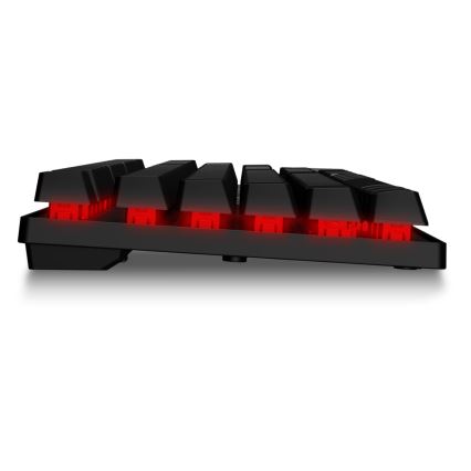 CONNECT IT CKM-3200-CS - LED RGB kabelgebundene Gaming-Tastatur und Gaming-Maus 1200/1800/2400/3600 DPI mit CZ/SK-Belegung schwarz