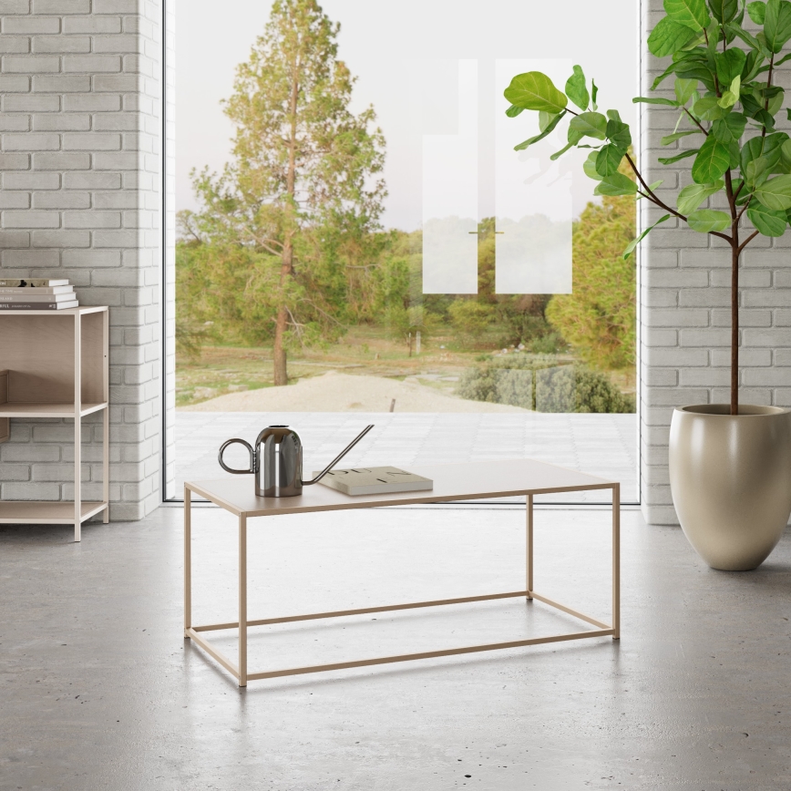 Couchtisch SARON 100x50 cm, grau