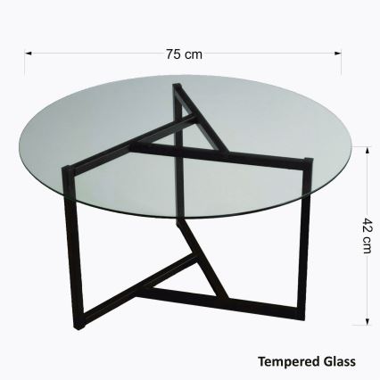 Couchtisch TRIO 42x75 cm transparent/schwarz