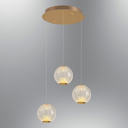 CREMONA LED Pendelleuchte 3xLED/5W/230V 3000K Gold