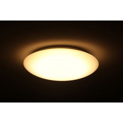 Dalen DL-C205T - LED Dimmbare Deckenleuchte SMART LED LED/25W/230V