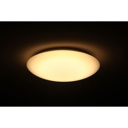 Dalen DL-C205T - LED Dimmbare Deckenleuchte SMART LED LED/25W/230V