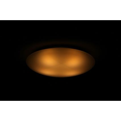 Dalen DL-C205T - LED Deckenleuchte SMART LED LED/25W/230V