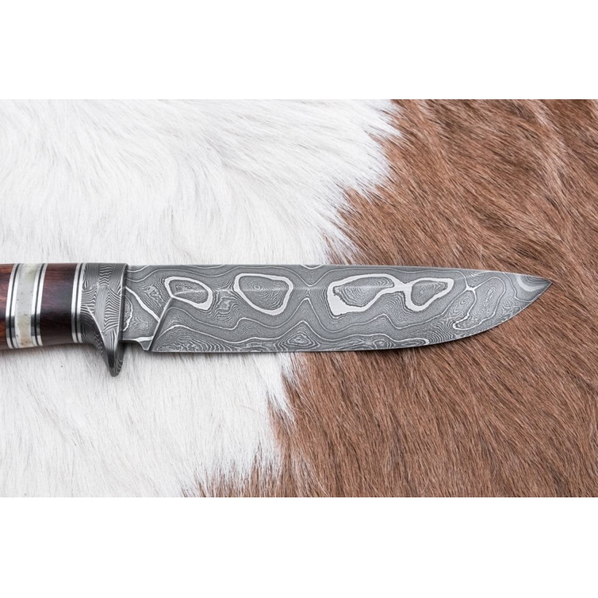 Damast-Jagdmesser 13,8 cm Eisenholz/Büffelknochen