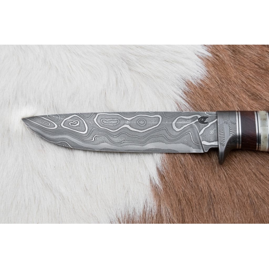 Damast-Jagdmesser 13,8 cm Eisenholz/Büffelknochen