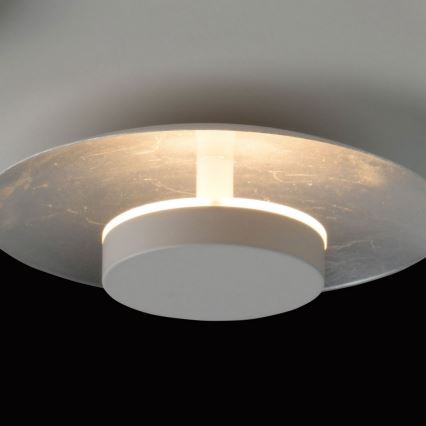 De Markt - LED Deckenleuchte YLANG 4xLED/6W/230V