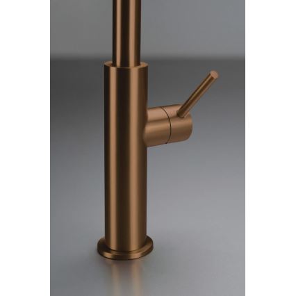 Deante BQJ_C62M - EVORA Einhebel-Spültischarmatur, gebürstetes Bronze-Finish