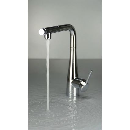 Deante BRE_075M - Wasserhahn/Armatur mit ausziehbarer Sprühvorrichtung ERIDAN glänzendes Chrom