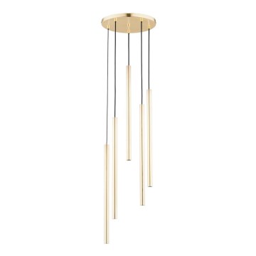 Deckenleuchte an Kabel COLLET 5xG9/40W/230V Ø 30 cm goldfarben