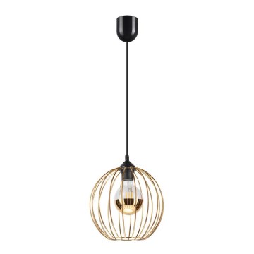 Deckenleuchte an Kabel ZOYA 1xE27/60W/230V goldfarben