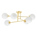 Deckenleuchte an Stange 6xE27/35W/230V d 80 cm golden