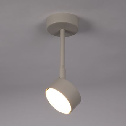 Deckenleuchte an Stange NEMO 1xGX53/12W/230V 24 cm beige