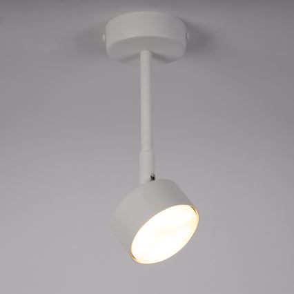 Deckenleuchte an Stange NEMO 1xGX53/12W/230V 24 cm weiß