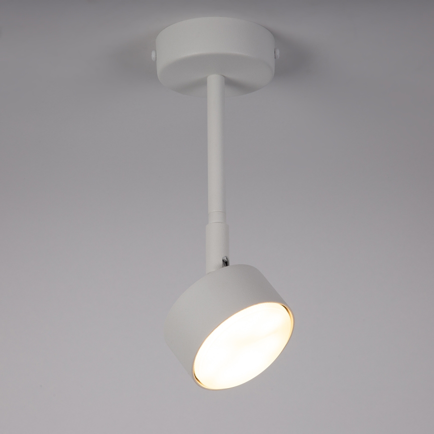 Deckenleuchte an Stange NEMO 1xGX53/12W/230V 24 cm weiß