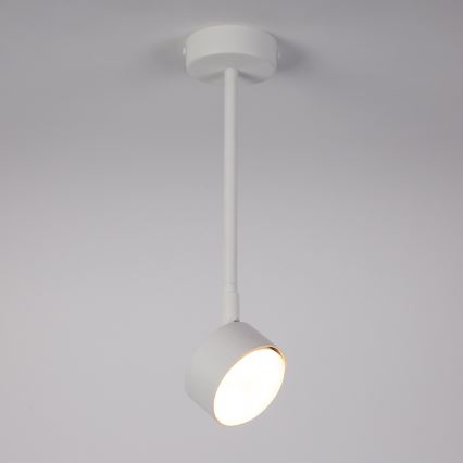 Deckenleuchte an Stange NEMO 1xGX53/12W/230V 35 cm weiß