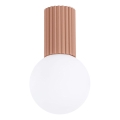 Deckenleuchte für Badezimmer HALO 1xG9/8W/230V d 12 cm IP44 braun