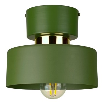Deckenleuchte IGNIA 1xE27/60W/230V grün
